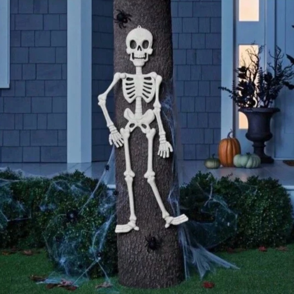 Hyde and EEK! 11 Pieces Skeleton, Spiders & Web Kit